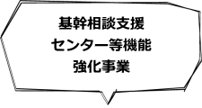 基幹相談支援センター等機能強化事業