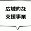 広域的な支援事業